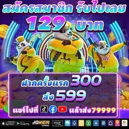 55CC 55CC